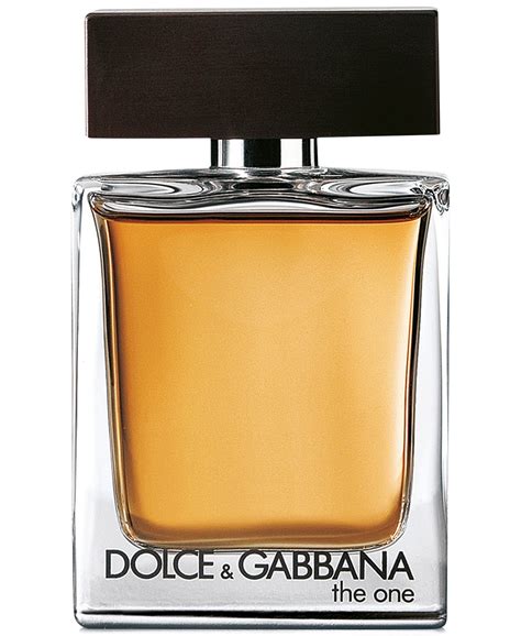 dolce gabbana the one men parfum|d&g the one gentleman.